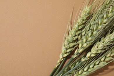 Photo of Green wheat spikes on beige background, flat lay. Space for text