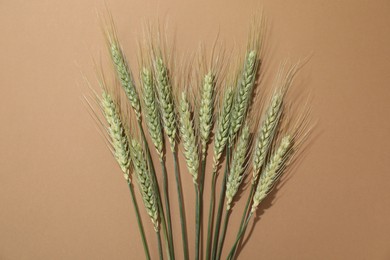 Photo of Green wheat spikes on beige background, flat lay