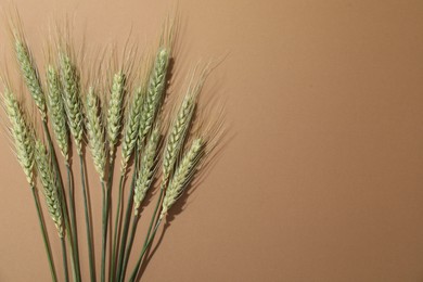 Photo of Green wheat spikes on beige background, flat lay. Space for text