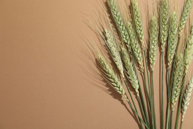 Photo of Green wheat spikes on beige background, flat lay. Space for text