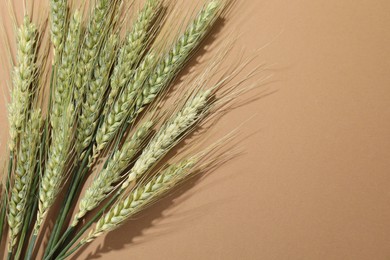 Photo of Green wheat spikes on beige background, flat lay. Space for text
