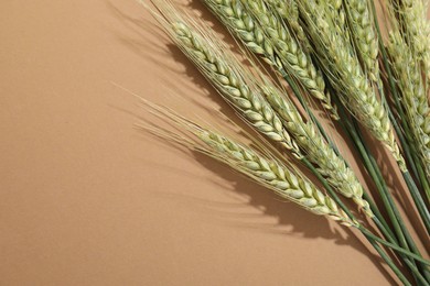 Photo of Green wheat spikes on beige background, above view. Space for text