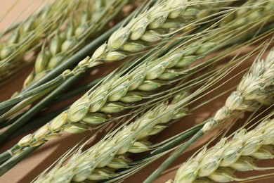 Photo of Green wheat spikes on beige background, closeup