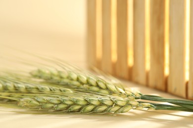 Photo of Green wheat spikes on beige background, macro view