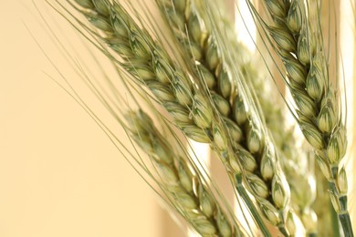 Photo of Green wheat spikes on blurred beige background, macro view