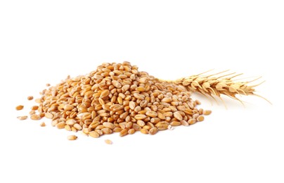 Image of Wheat grains and spikelet on white background