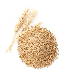 Image of Wheat ears and grains on white background, top view
