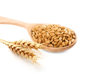 Image of Wheat grains in spoon and spikelets on white background