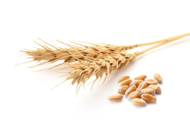 Image of Wheat ears and grains on white background