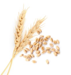 Image of Wheat ears and grains on white background, top view