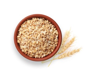 Image of Wheat grains in bowl and spikelets on white background, top view