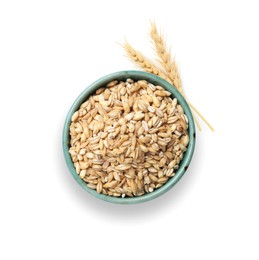 Image of Wheat grains in bowl and spikelets on white background, top view