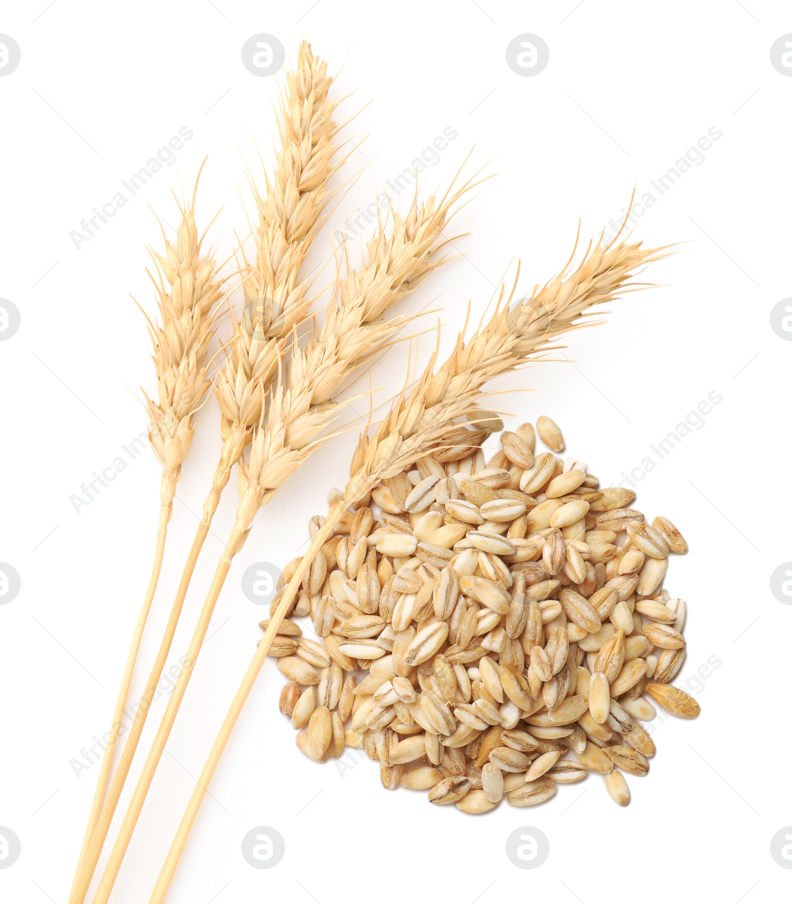 Image of Wheat grains and spikelets on white background, top view