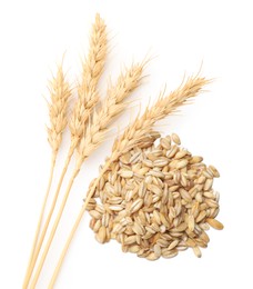 Image of Wheat grains and spikelets on white background, top view