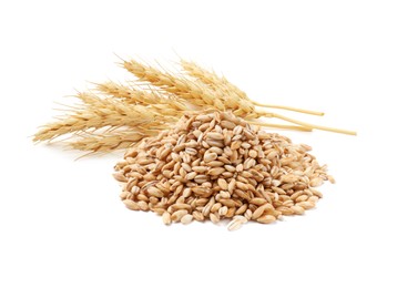 Image of Wheat grains and spikelets on white background