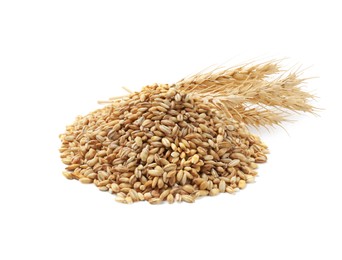 Image of Wheat grains and spikelets on white background