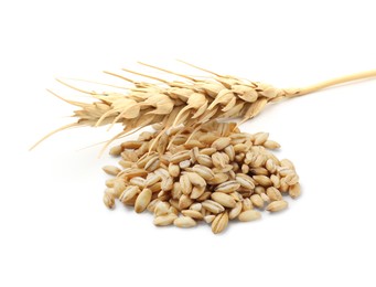 Image of Wheat grains and spikelet on white background