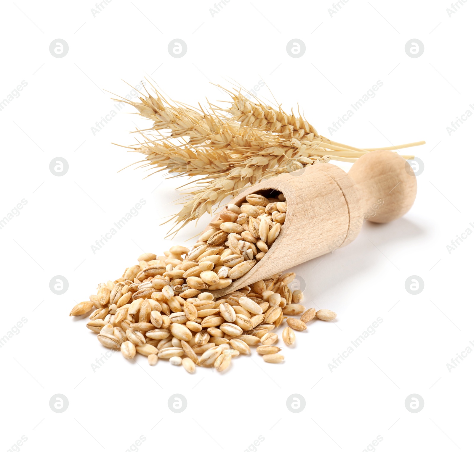 Image of Wheat grains and spikelets on white background
