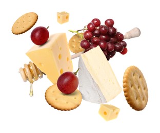 Image of Cheese board products in air on white background. Different types of cheese, grapes, crackers and honey