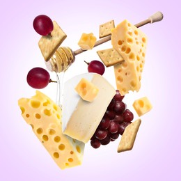 Image of Cheese board products in air on violet background. Different types of cheese, grapes, crackers and honey