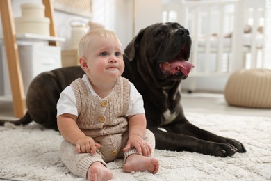 Photo of Cute newborn baby and friendly pet on carpet at home