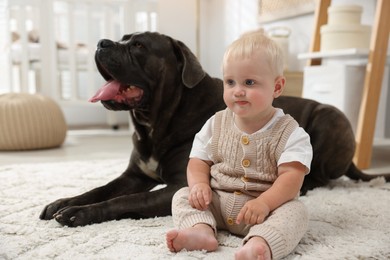 Photo of Cute newborn baby and friendly pet on carpet at home
