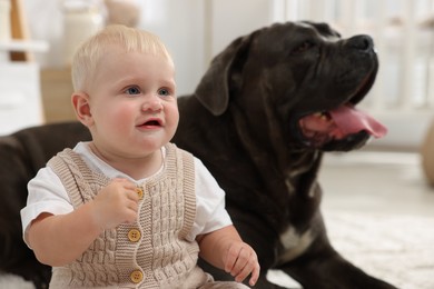 Photo of Cute newborn baby and friendly pet at home
