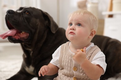 Photo of Cute newborn baby and friendly pet at home