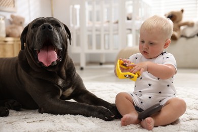 Photo of Cute newborn baby and friendly pet on carpet at home
