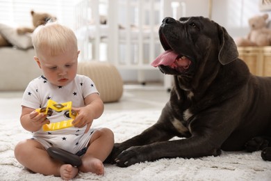 Photo of Cute newborn baby and friendly pet on carpet at home