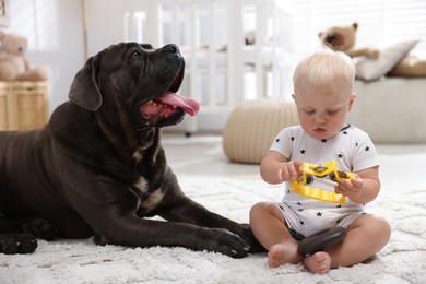 Photo of Cute newborn baby and friendly pet on carpet at home