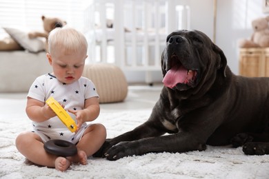Photo of Cute newborn baby and friendly pet on carpet at home