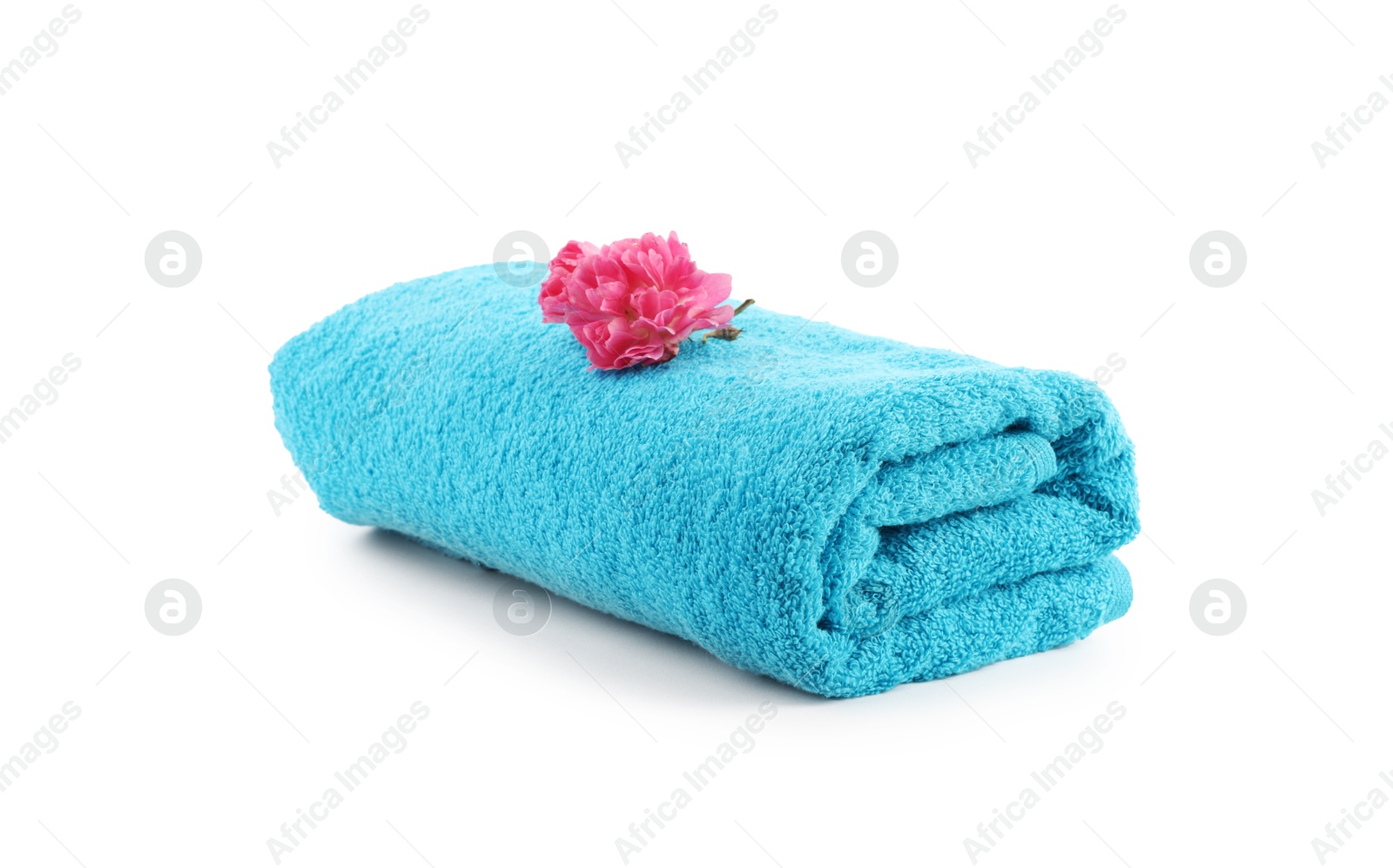 One rolled blue towel and flower isolated on white Photo of One rolled blue towel and flower isolated on white