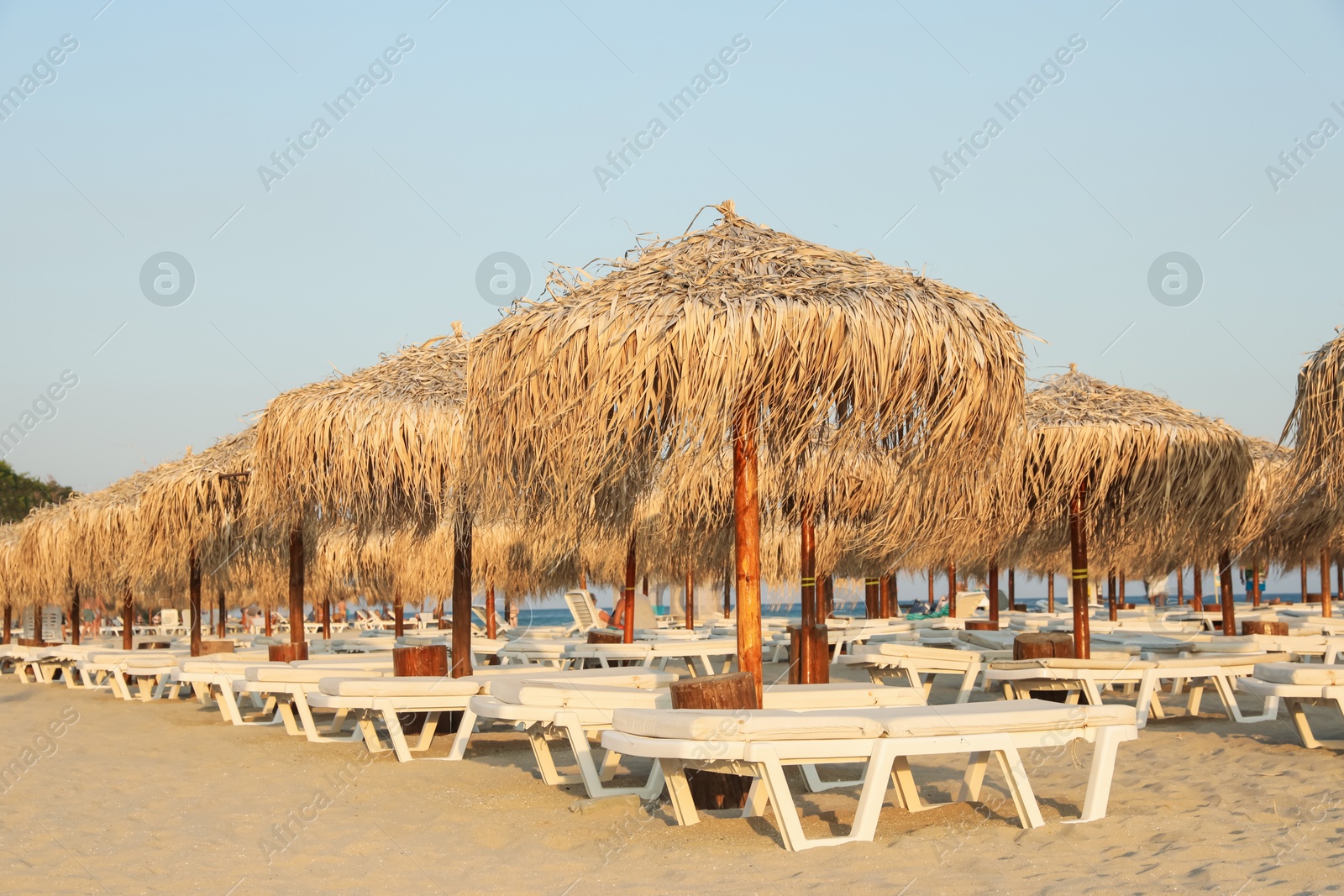 Beautiful straw umbrellas and sunbeds on sandy beach Photo of Beautiful straw umbrellas and sunbeds on sandy beach