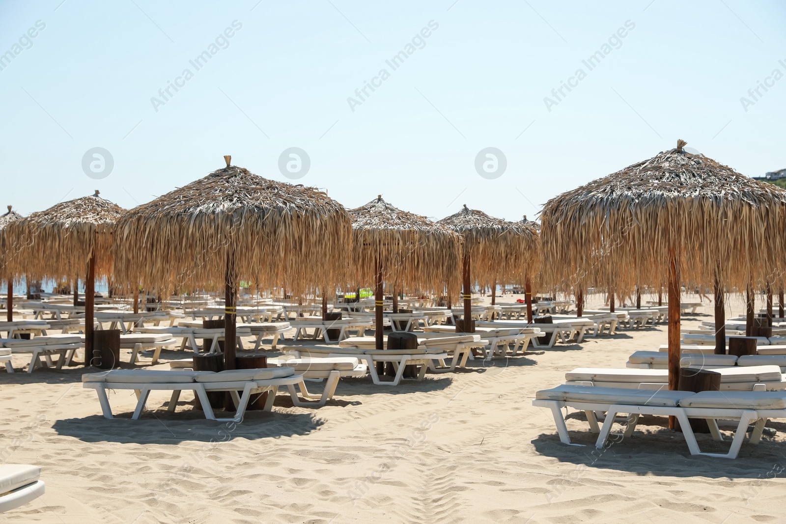 Beautiful straw umbrellas and sunbeds on sandy beach Photo of Beautiful straw umbrellas and sunbeds on sandy beach