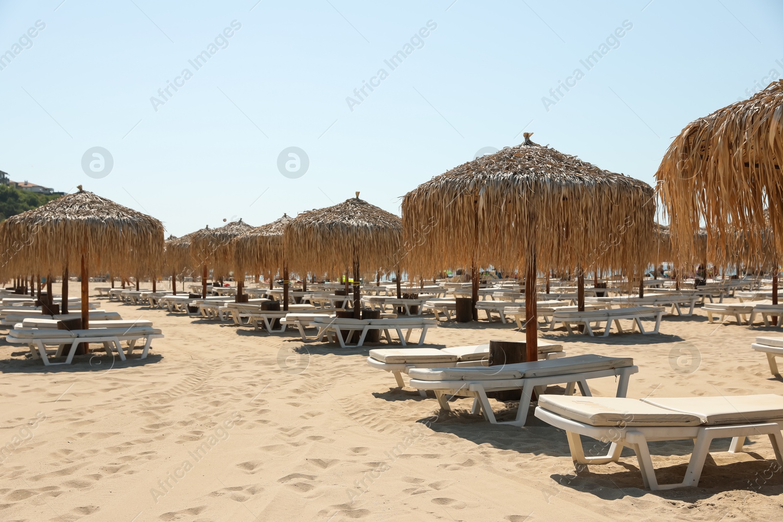 Beautiful straw umbrellas and sunbeds on sandy beach Photo of Beautiful straw umbrellas and sunbeds on sandy beach