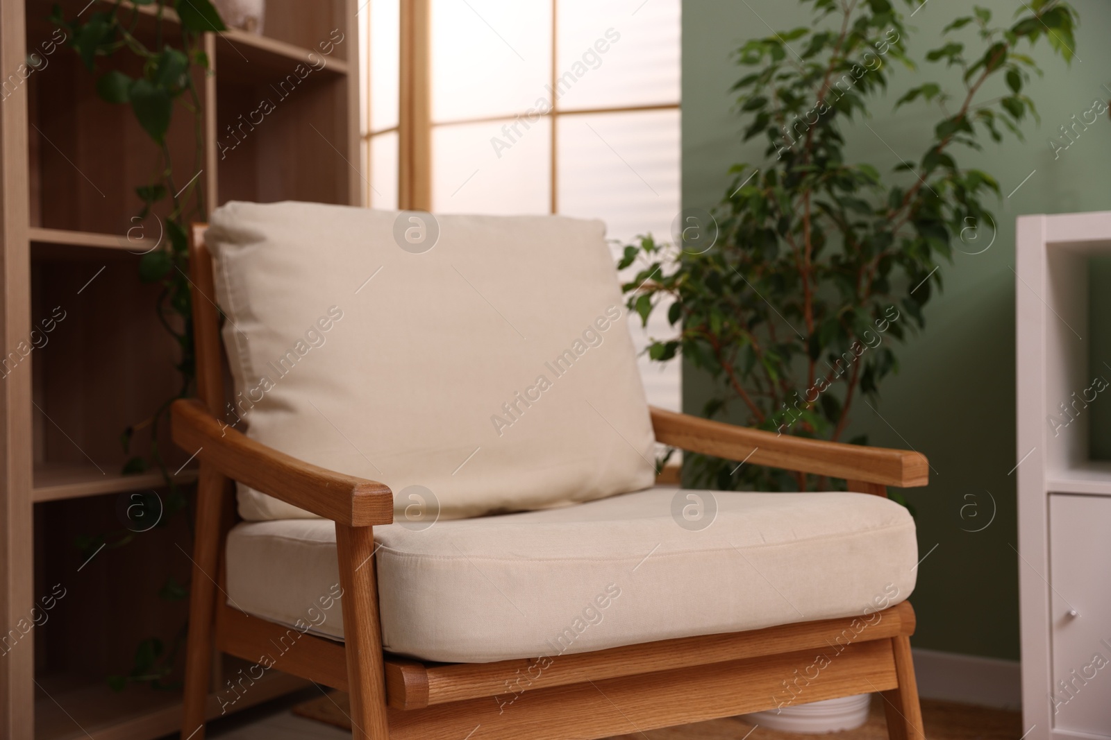 Stylish armchair near shelving unit and houseplant indoors Photo of Stylish armchair near shelving unit and houseplant indoors