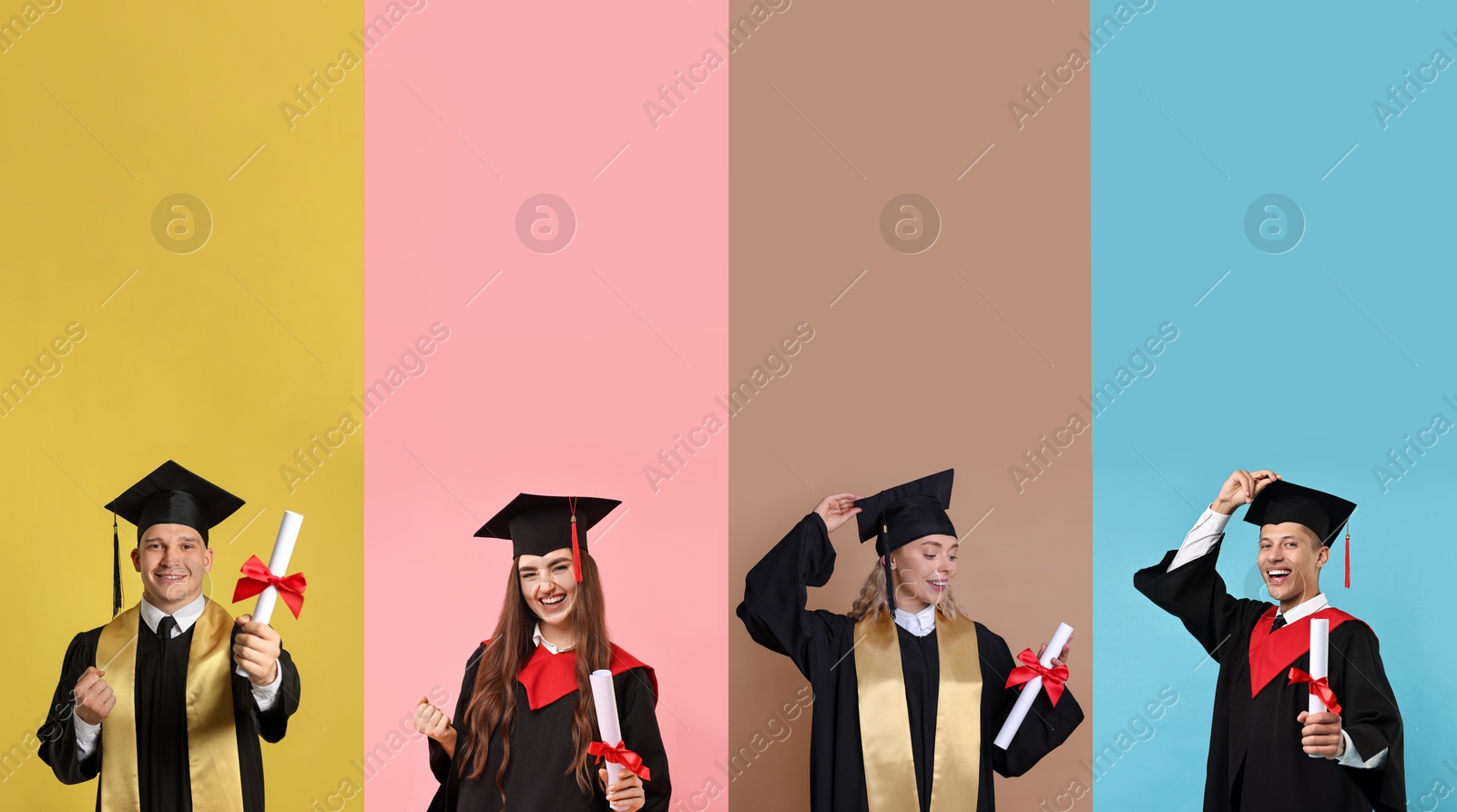 Image of Happy students in graduation gowns and mortarboards, collage of portraits on different colors backgrounds