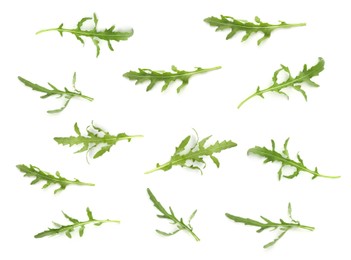 Image of Fresh green arugula on white background, set