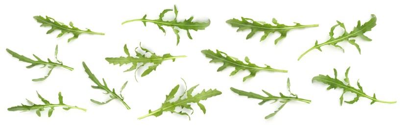 Image of Fresh green arugula on white background, set