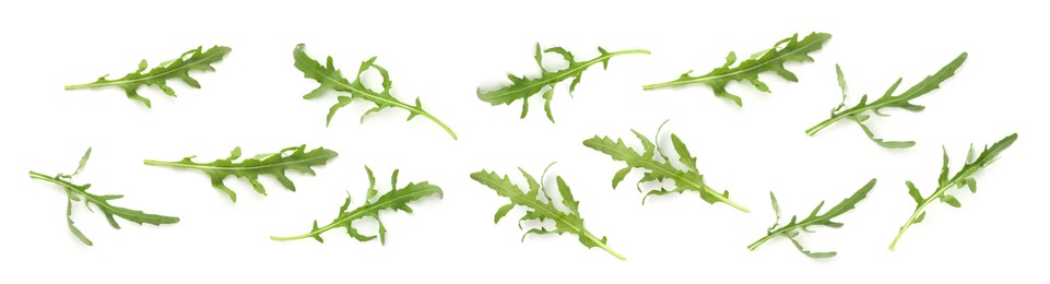 Image of Fresh green arugula on white background, set