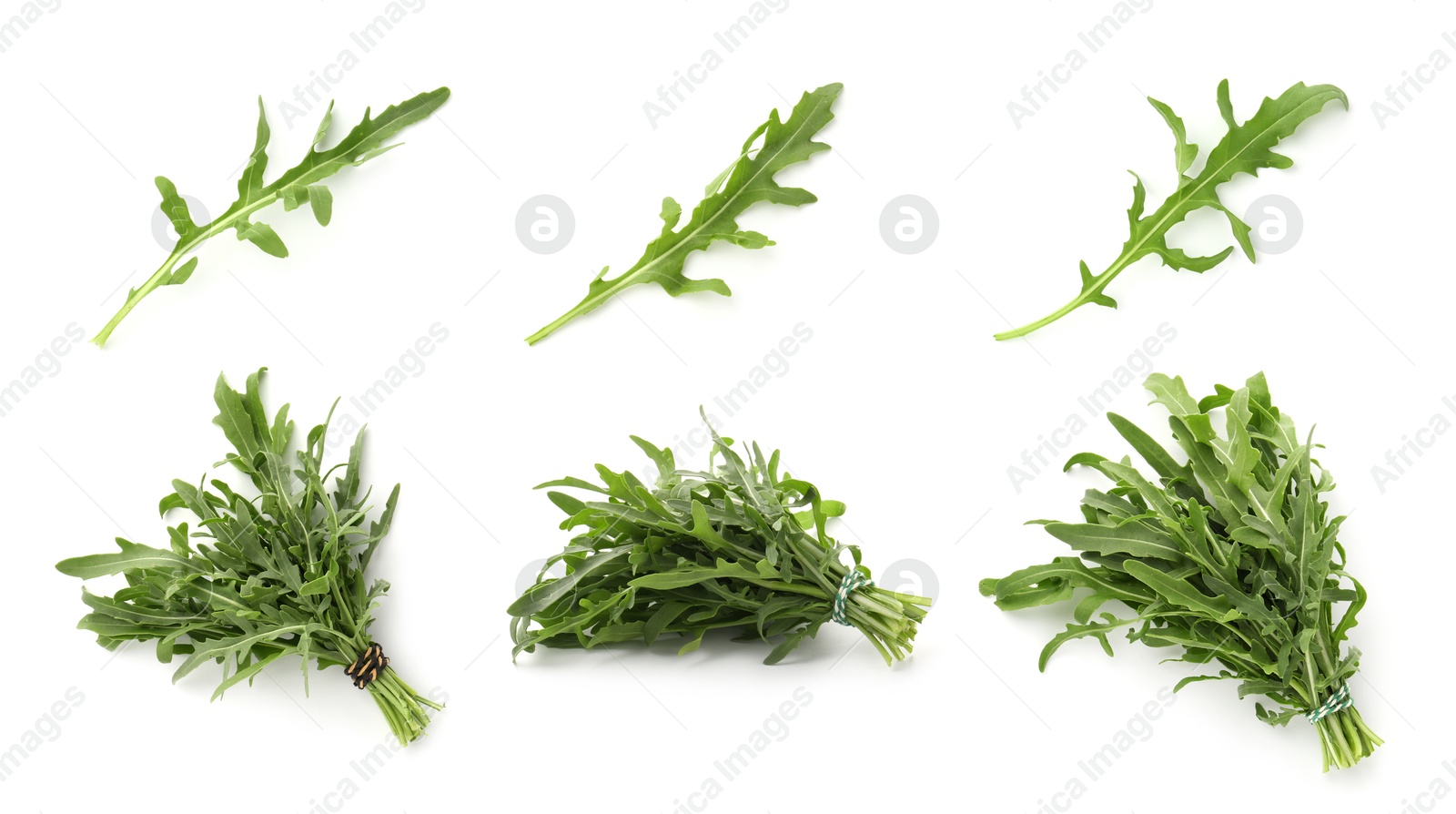 Image of Fresh green arugula on white background, set