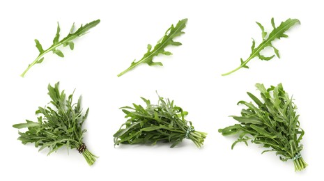 Image of Fresh green arugula on white background, set
