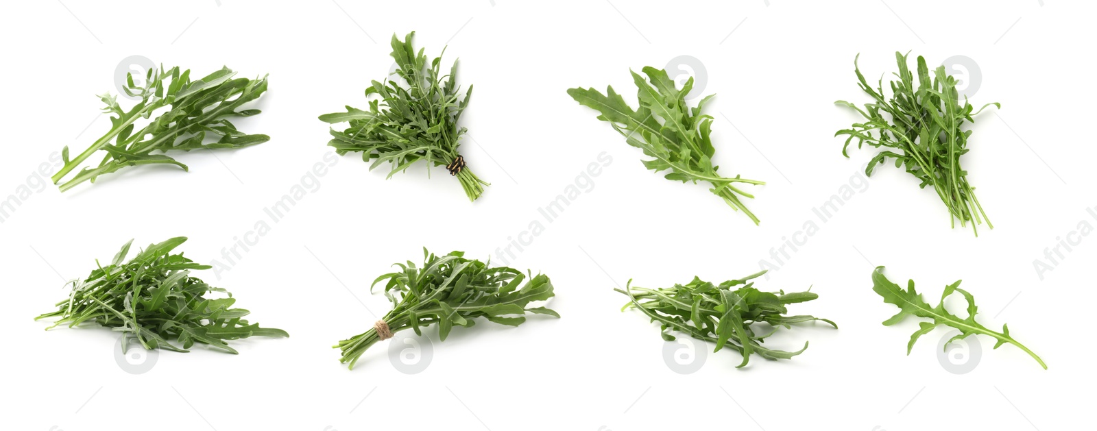 Image of Fresh green arugula on white background, set