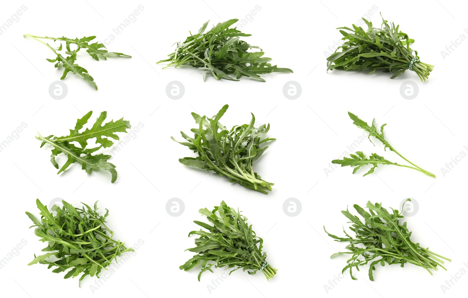 Fresh green arugula on white background, set Image of Fresh green arugula on white background, set