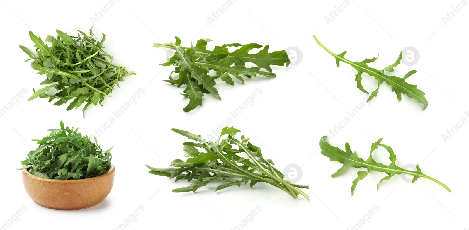 Image of Fresh green arugula on white background, set