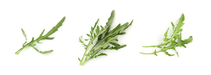 Image of Fresh green arugula on white background, set