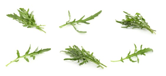 Image of Fresh green arugula on white background, set