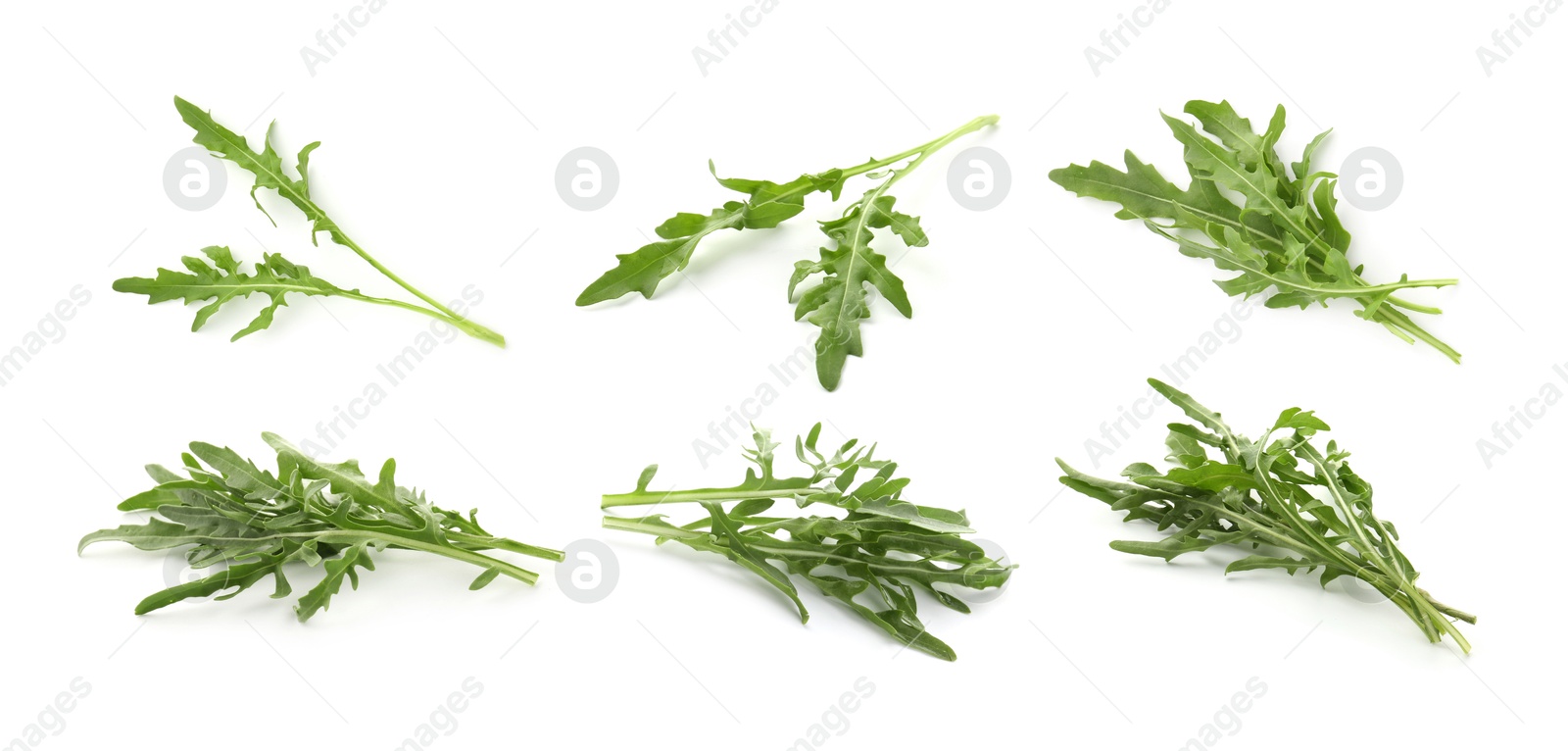 Image of Fresh green arugula on white background, set