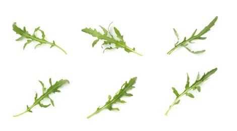 Image of Fresh green arugula on white background, set